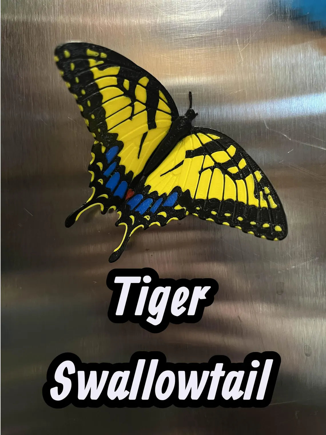Custom Butterfly Fridge Magnet | 3D Printed Set of 3
