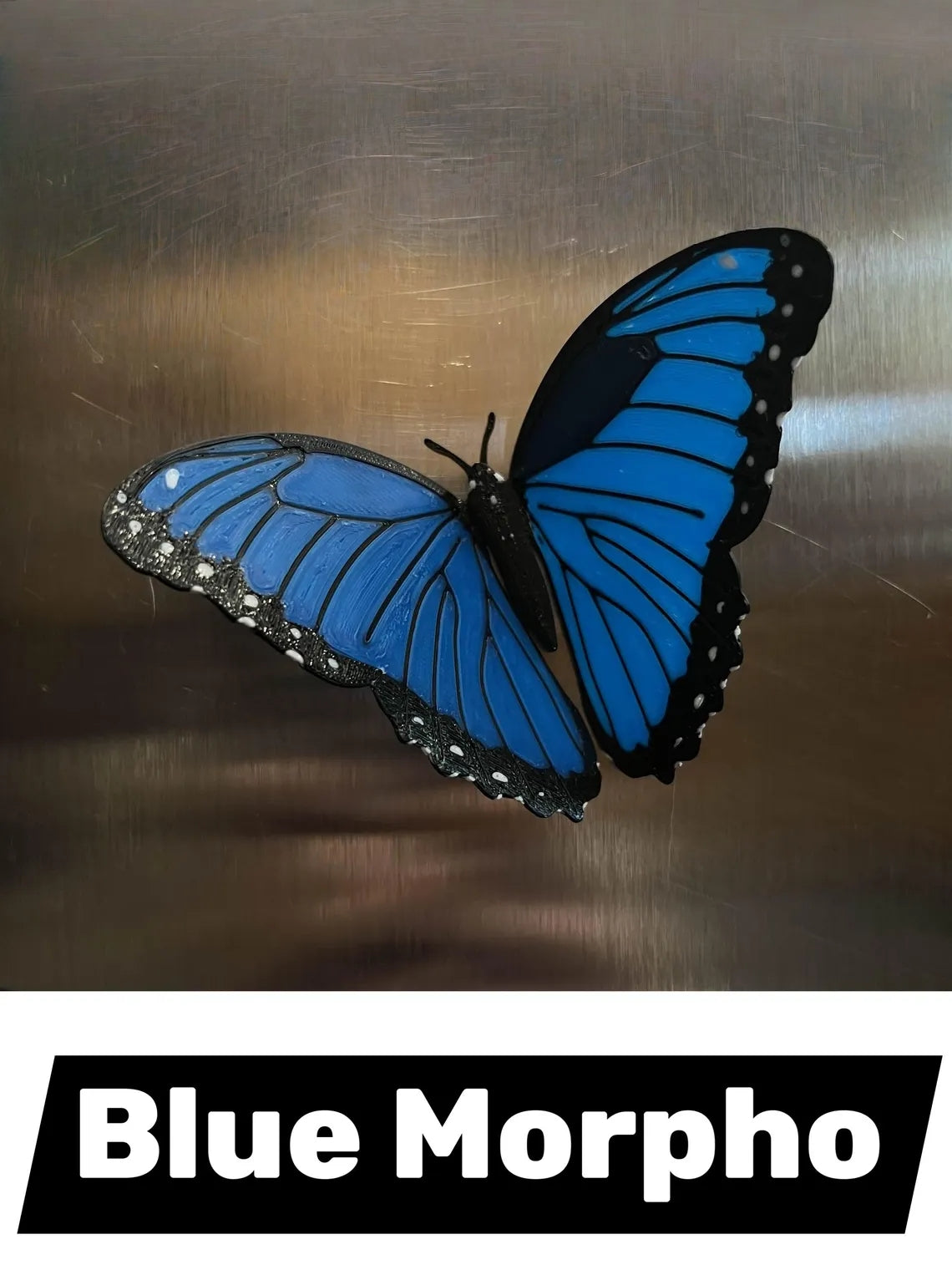 Custom Butterfly Fridge Magnet | 3D Printed Set of 3