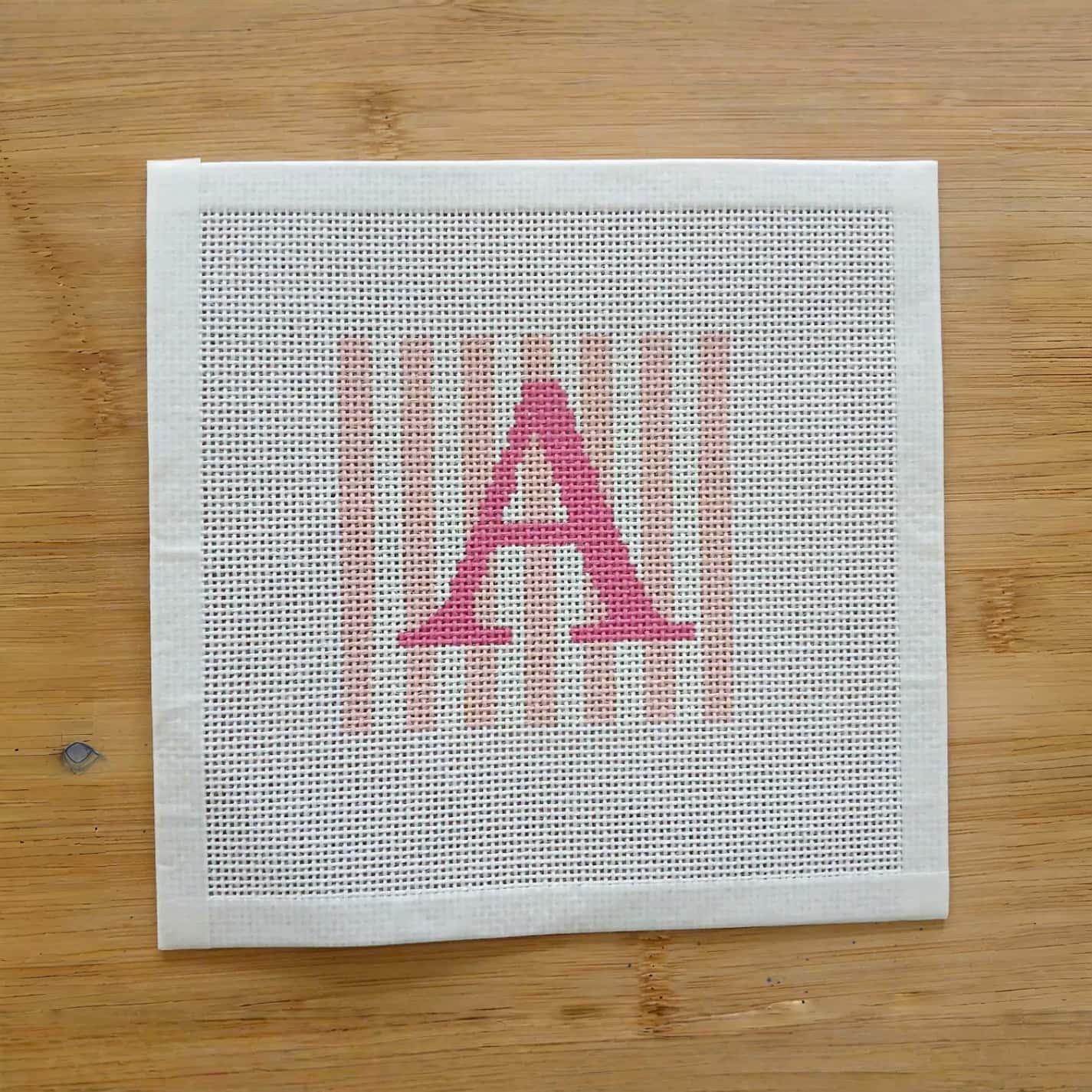Beginner Personalized Needlepoint Letter Canvas Kit | DIY Gift
