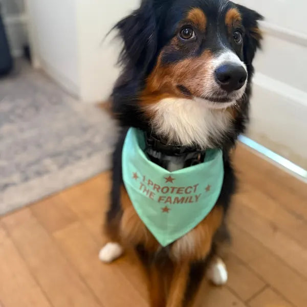 Scrunchie Dog Bandana – Handmade Pet Scarf for All Breeds