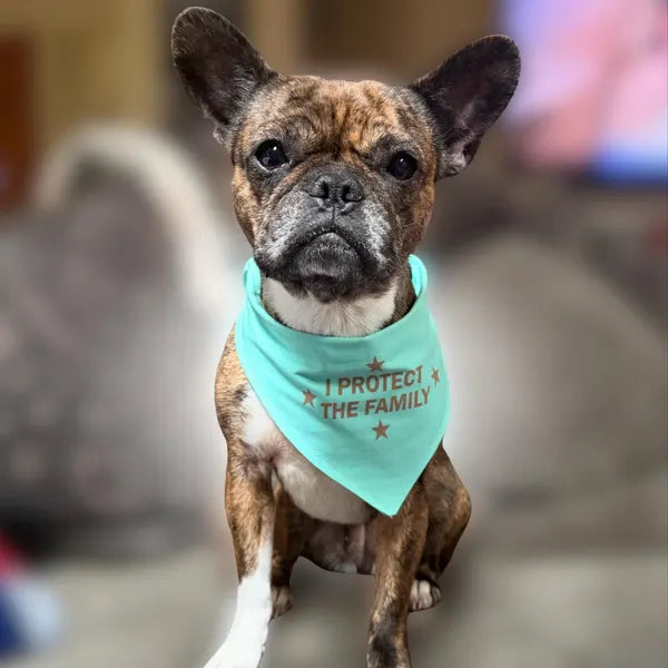 Scrunchie Dog Bandana – Handmade Pet Scarf for All Breeds