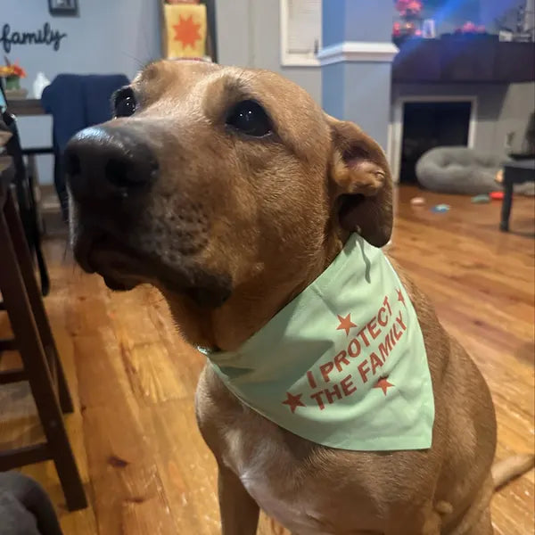 Scrunchie Dog Bandana – Handmade Pet Scarf for All Breeds