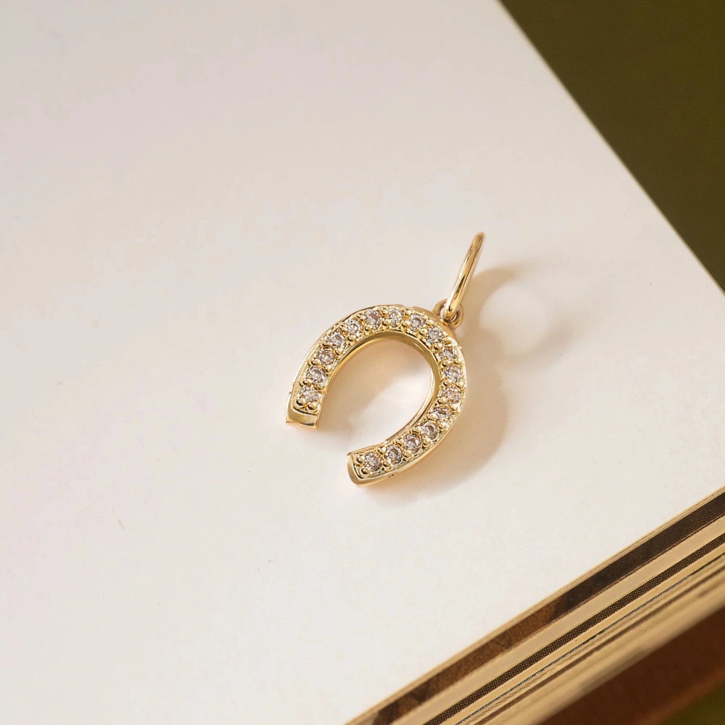 Personalized Horseshoe Necklace with Birthstone & Photo Charm