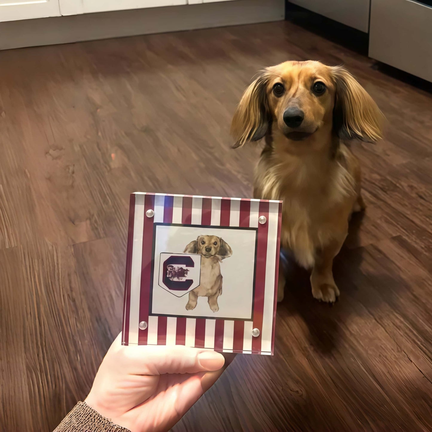 Custom 4x4” Pet Portrait – Watercolor Effect in Acrylic Frame with College Flag