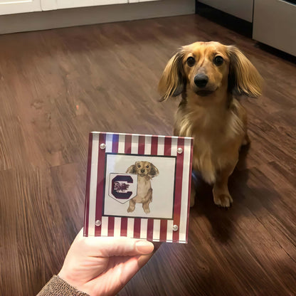 Custom 4x4” Pet Portrait – Watercolor Effect in Acrylic Frame with College Flag