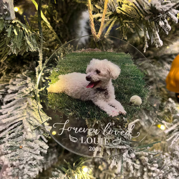 Personalized Pet Memorial Photo Ornament | Glass Pet Sympathy Gift
