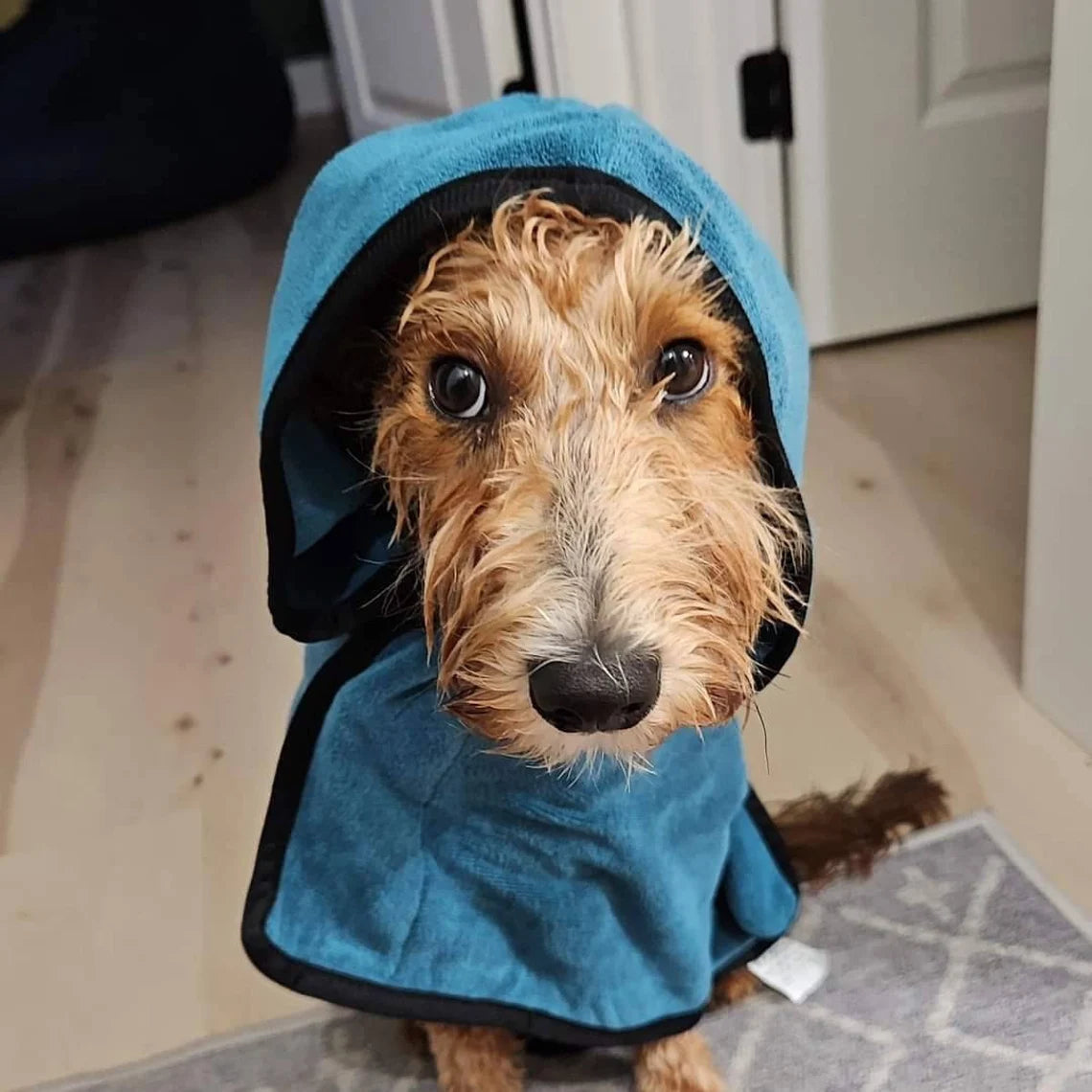Personalized Dog Robe | Embroidered Pet Bathrobe & Towel Gift