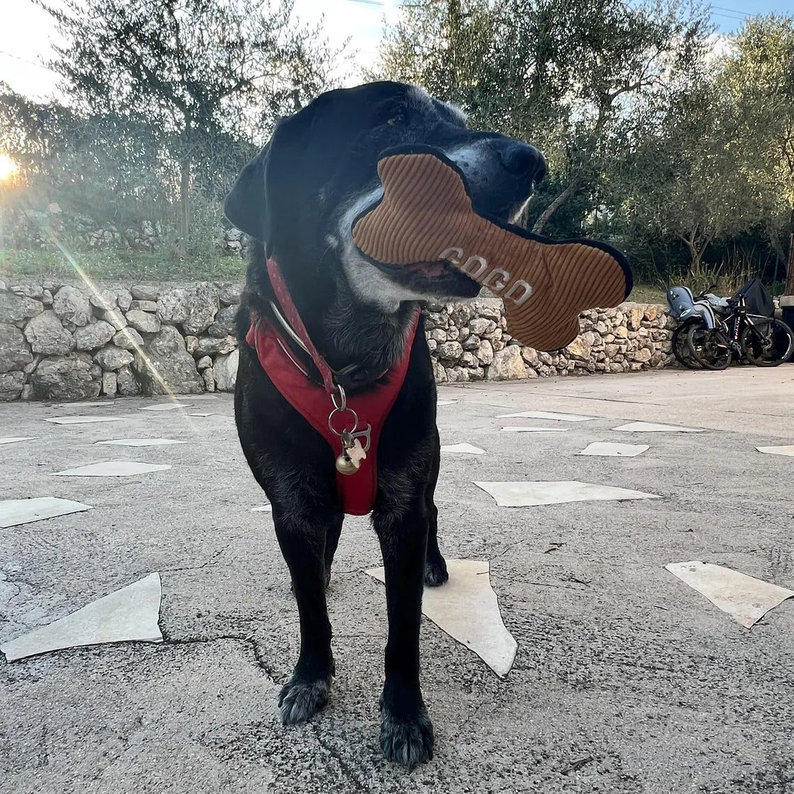 Os à mâcher personnalisé pour chien avec couineur | Brodé, amusant et durable