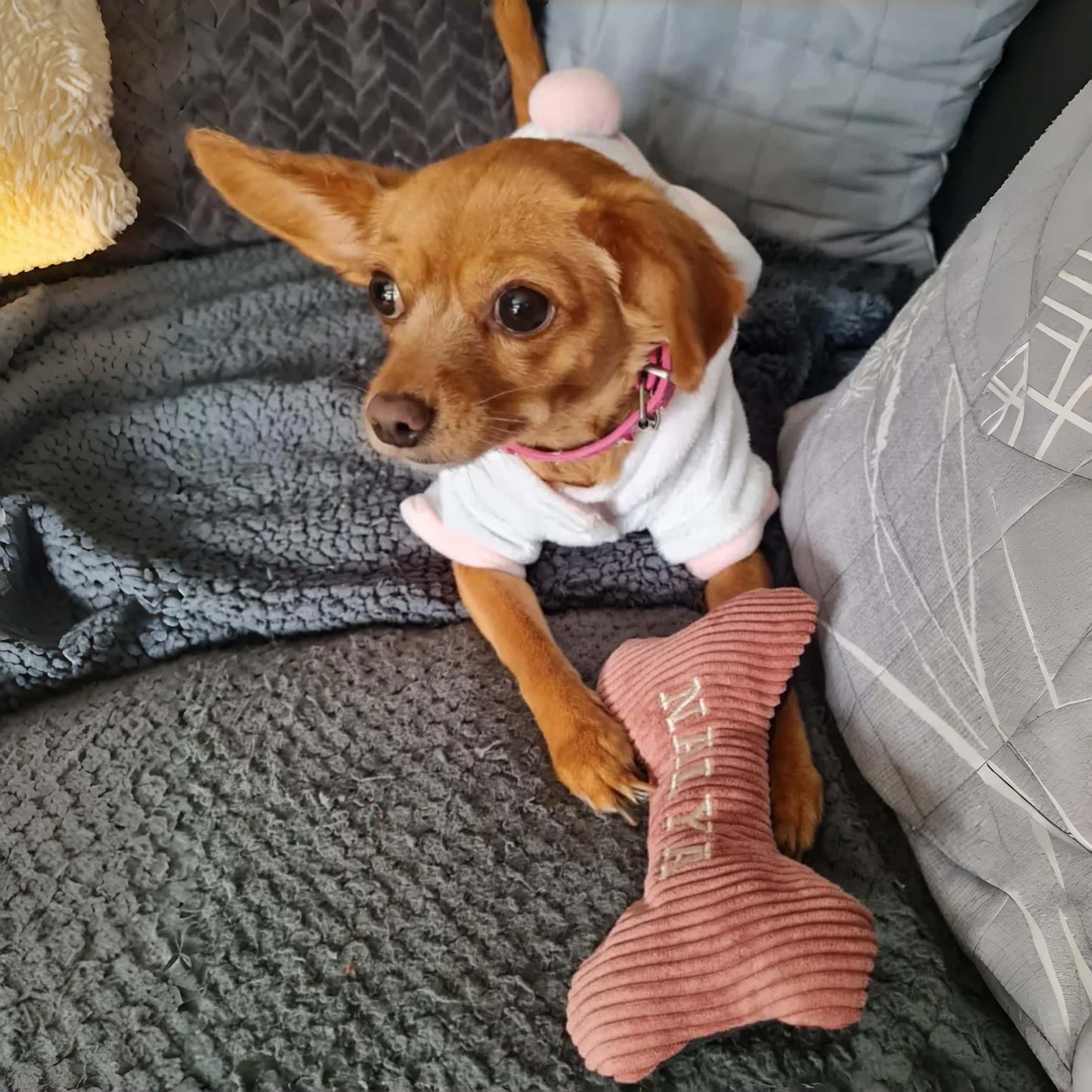 Os à mâcher personnalisé pour chien avec couineur | Brodé, amusant et durable