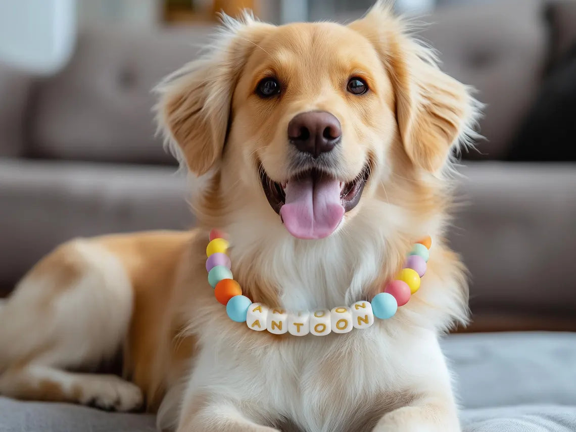 Personalized Beaded Pet Collar – Custom Name, XS-XL, 6 Colors