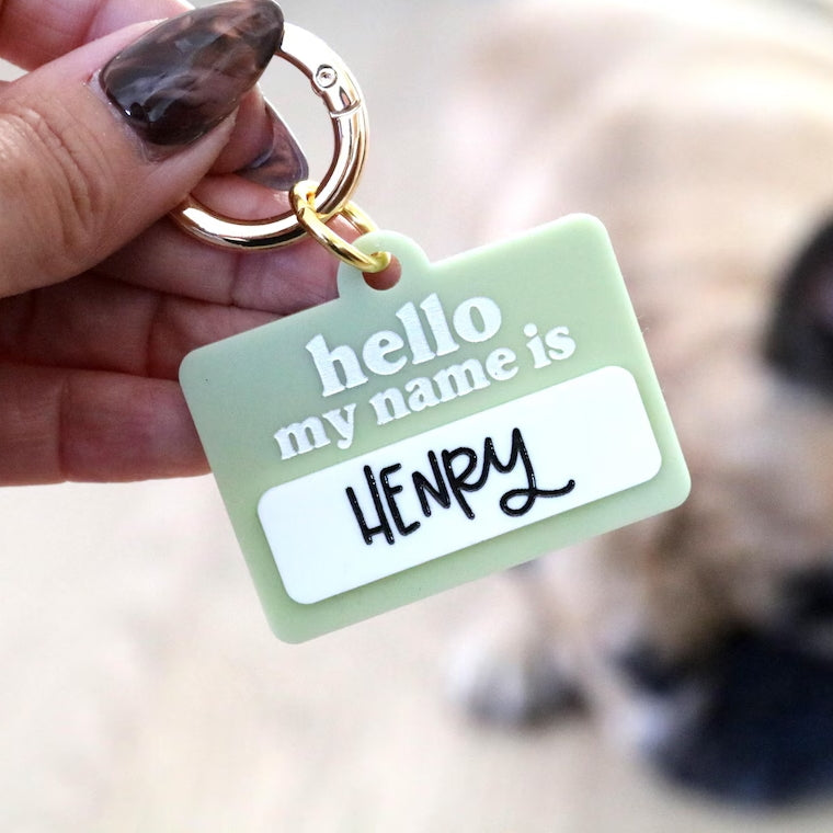 Personalized Pet ID Tag | Custom Dog & Cat Name Collar Tag