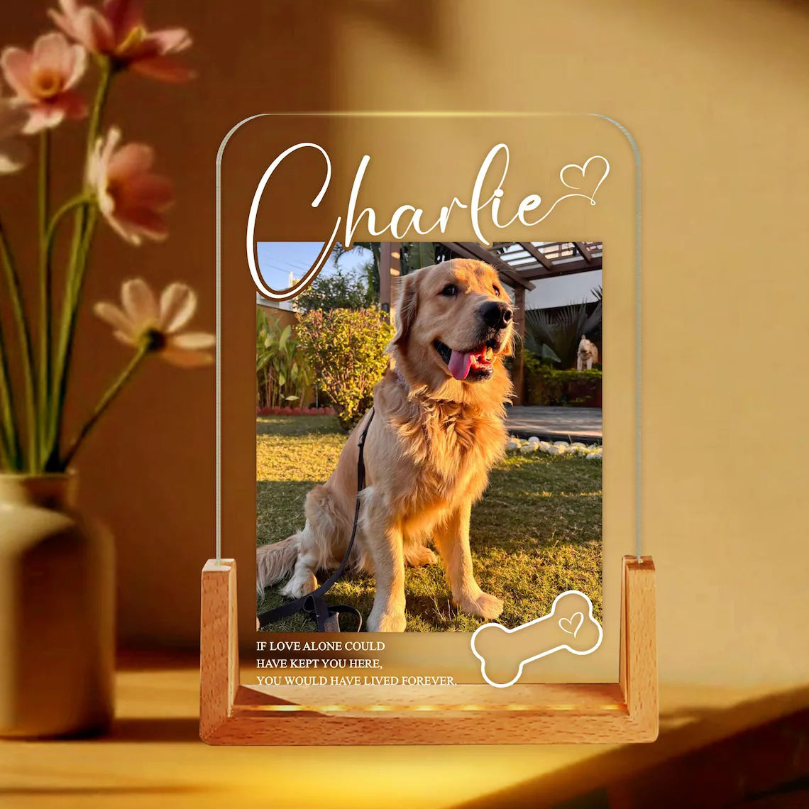 Personalized Pet Memorial LED Night Light – Custom Dog Lover Gift