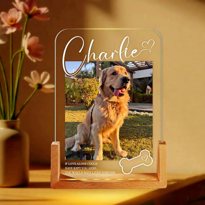 Personalized Pet Memorial LED Night Light – Custom Dog Lover Gift