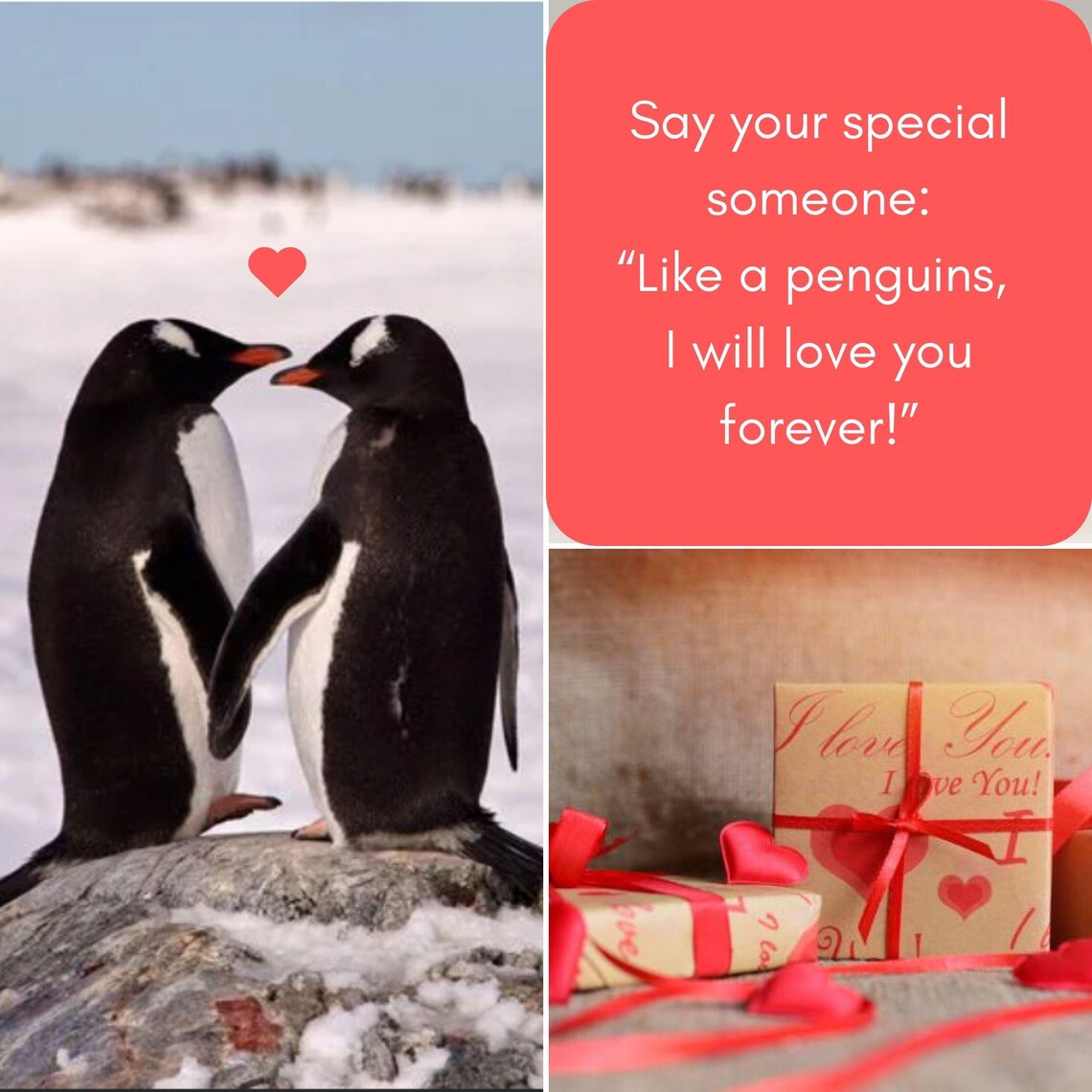 Personalized Penguin Valentine’s Gift for Him & Her | Custom Pebble