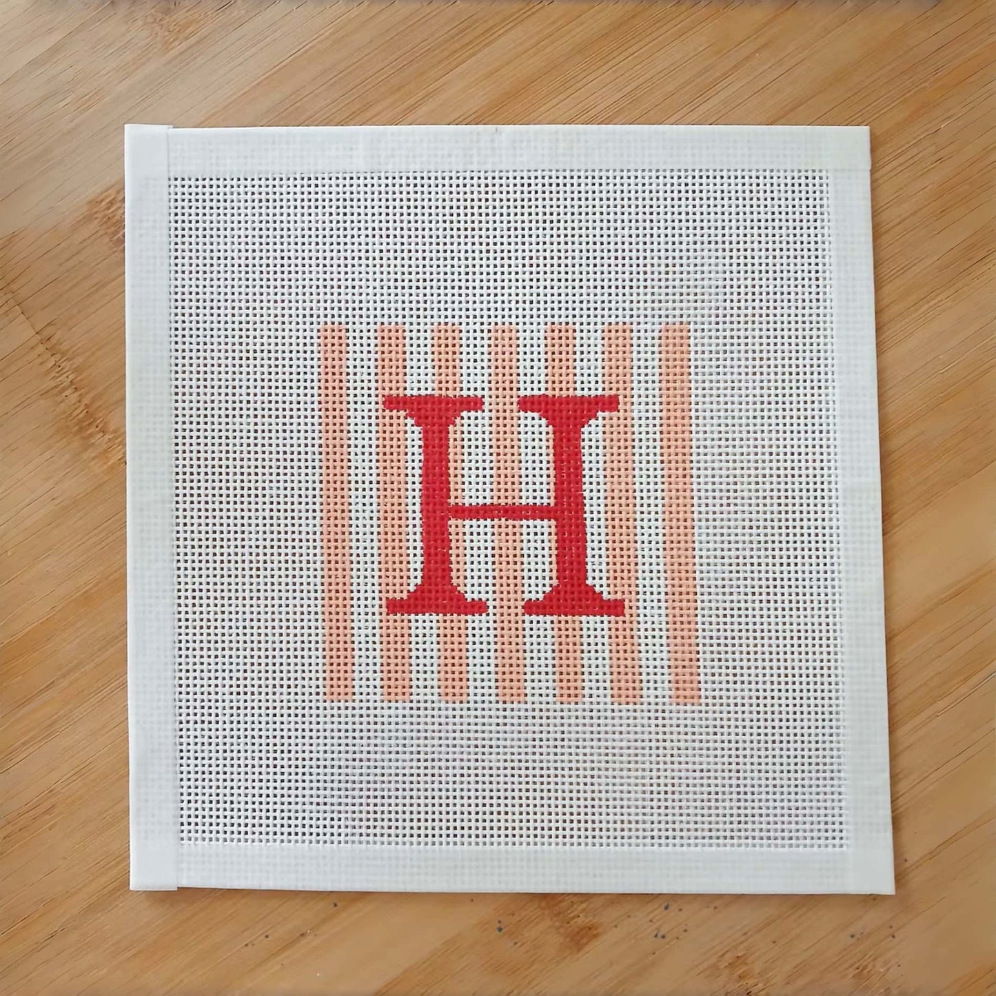 Beginner Personalized Needlepoint Letter Canvas Kit | DIY Gift