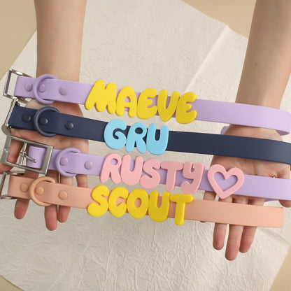 Personalized Dog Collar & Leash Set | Custom Name Waterproof Pet Collar