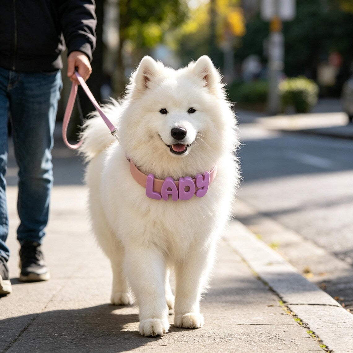 Personalized Dog Collar & Leash Set | Custom Name Waterproof Pet Collar