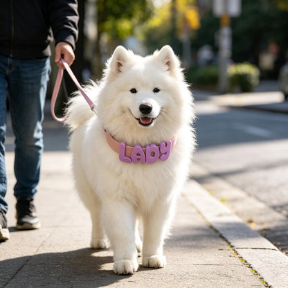 Personalized Dog Collar & Leash Set | Custom Name Waterproof Pet Collar