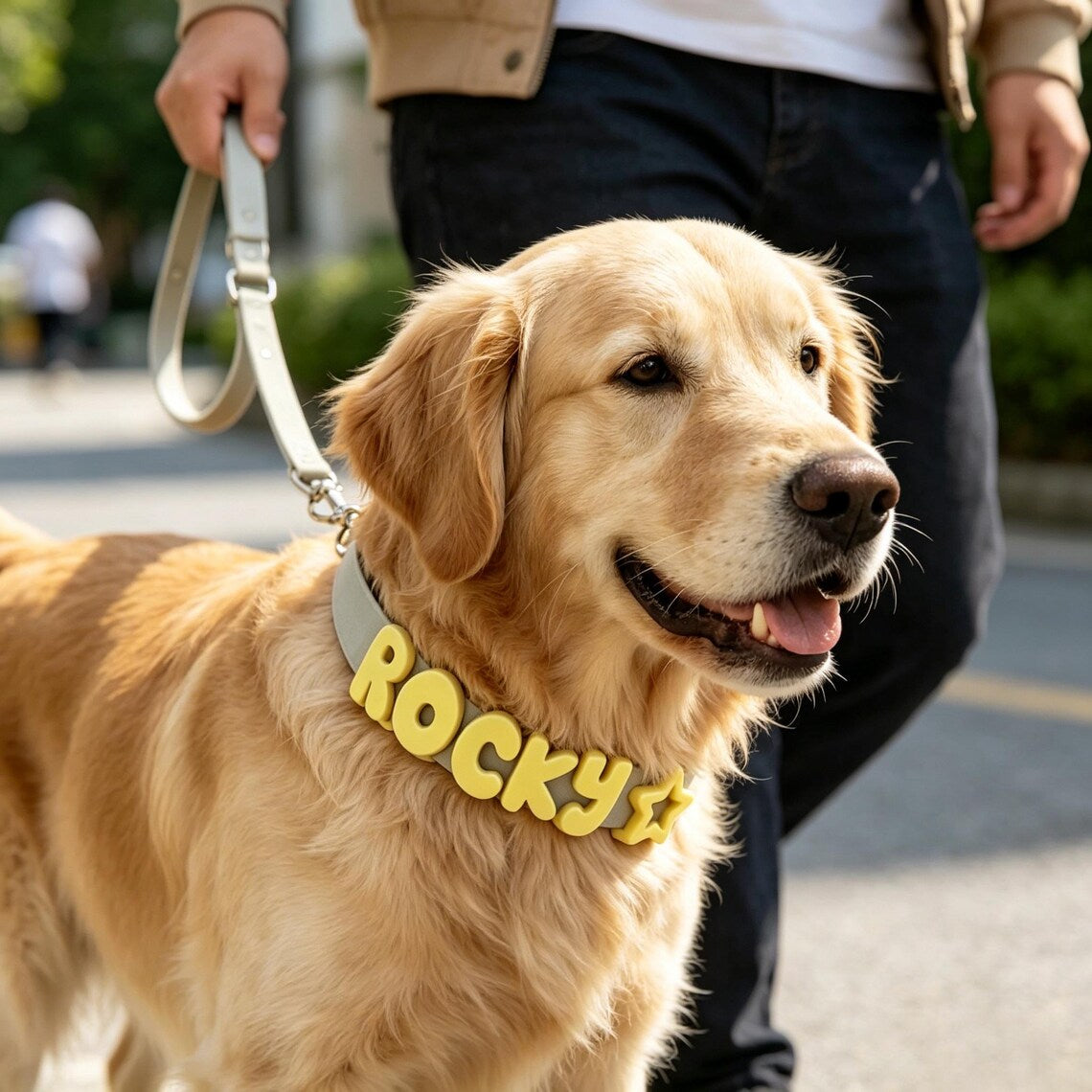 Personalized Dog Collar & Leash Set | Custom Name Waterproof Pet Collar