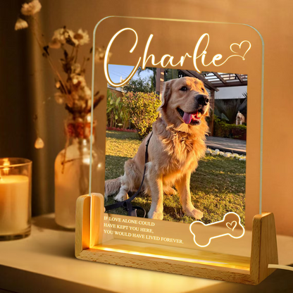 Personalized Pet Memorial LED Night Light – Custom Dog Lover Gift
